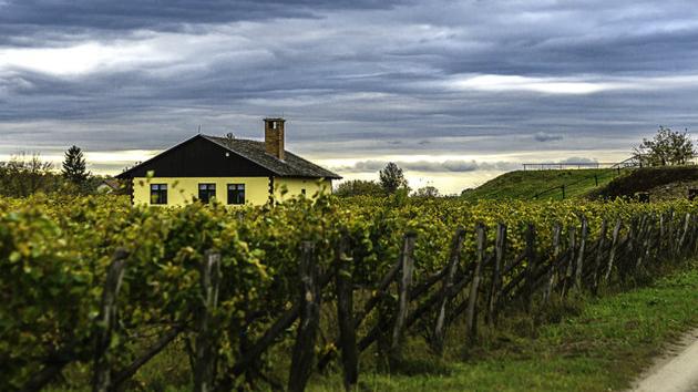 naselje Bački Vinogradi kod Subotice